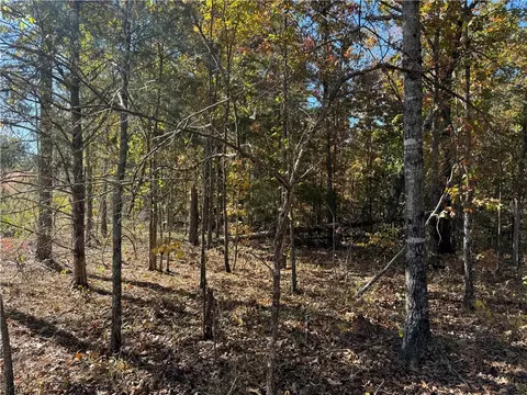 3754 Nc 3050, Jasper, AR 72641 photo 15
