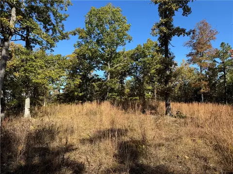 3754 Nc 3050, Jasper, AR 72641 photo 10