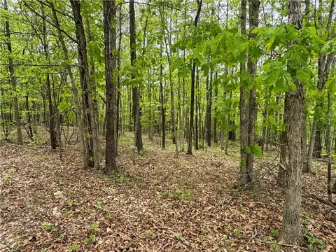 3754 Nc 3050, Jasper, AR 72641 photo 32