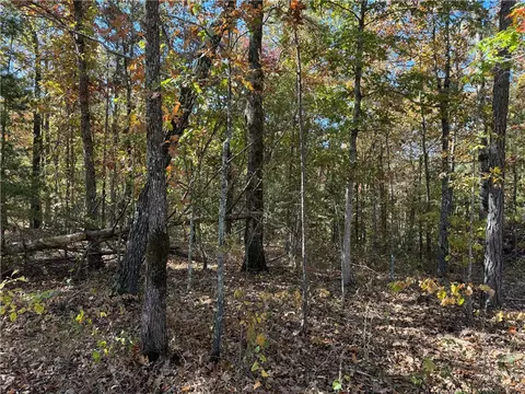 3754 Nc 3050, Jasper, AR 72641 photo 16