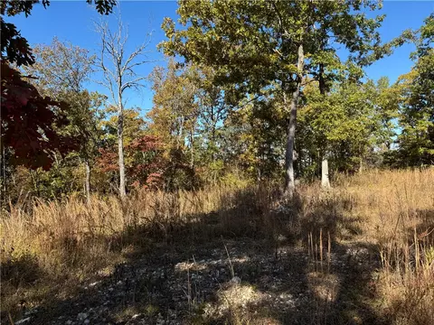 3754 Nc 3050, Jasper, AR 72641 photo 9