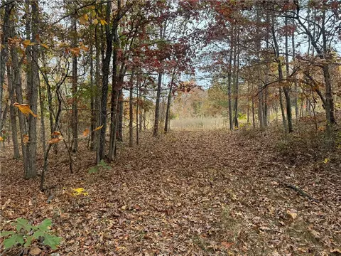 3754 Nc 3050, Jasper, AR 72641 photo 19