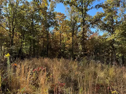 3754 Nc 3050, Jasper, AR 72641 photo 8