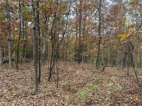3754 Nc 3050, Jasper, AR 72641 photo 18