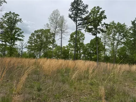 3754 Nc 3050, Jasper, AR 72641 photo 37