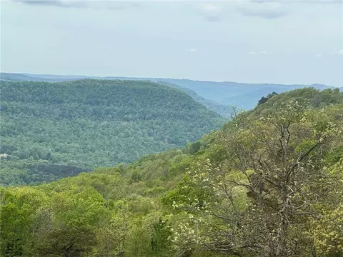 View/Area - 375 Nc 8362, Jasper, AR 72641 photo 5 of 8