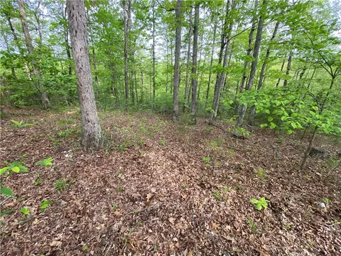 300 Nc 3150, Jasper, AR 72641 photo 19