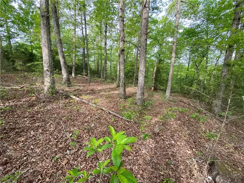 300 Nc 3150, Jasper, AR 72641 photo 2