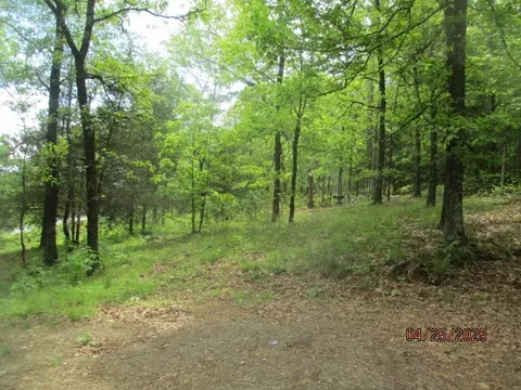 59 Ridgeside Dr, Dover, AR 72837 photo 47