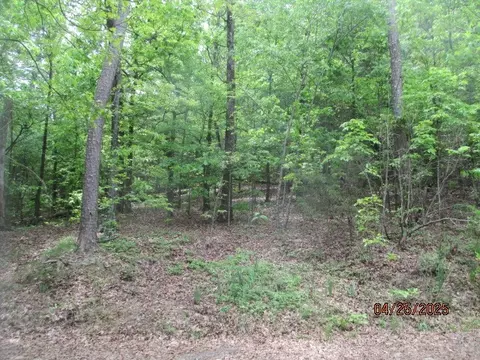 59 Ridgeside Dr, Dover, AR 72837 photo 46