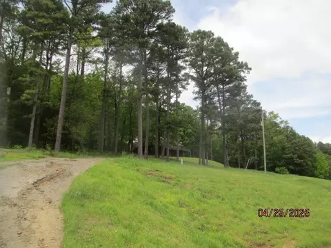 59 Ridgeside Dr, Dover, AR 72837 photo 50