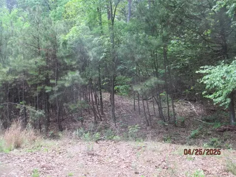 59 Ridgeside Dr, Dover, AR 72837 photo 44
