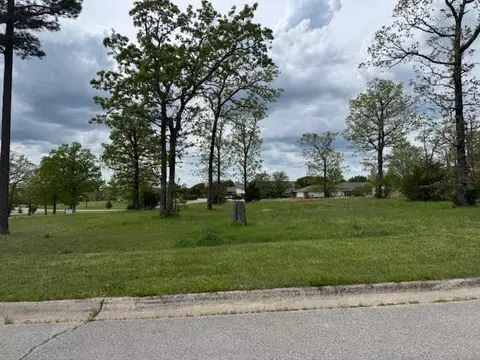 45 Park Dr, Holiday Island, AR 72631