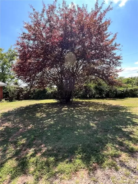 506 S Spring Ave, Plainview, AR 72857 photo 19
