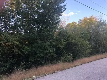 70 Eagle Dr, Holiday Island, AR 72631