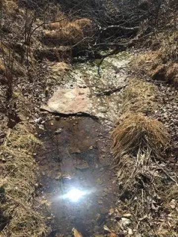 3 Ramblewood Trail, Yellville, AR 72687