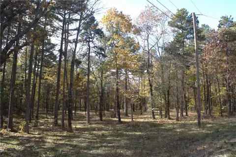 4540 Road Rd, Ozone, AR 72854 photo 2