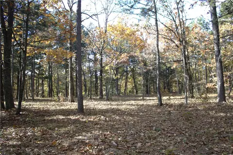 4540 Road Rd, Ozone, AR 72854 photo 3