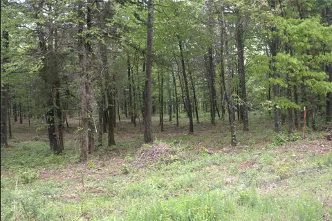 4540 Road Rd, Ozone, AR 72854 photo 10