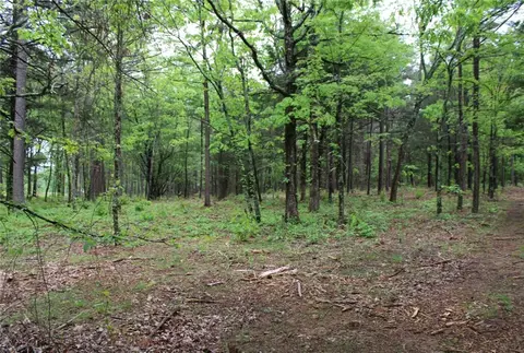 4540 Road Rd, Ozone, AR 72854 photo 12