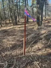 4540 Road Rd, Ozone, AR 72854 photo 14