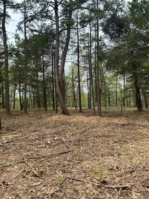 4540 Road Rd, Ozone, AR 72854 photo 6
