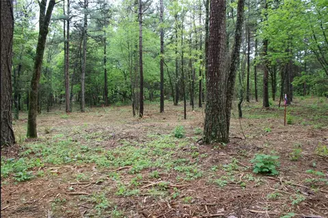 4540 Road Rd, Ozone, AR 72854 photo 13