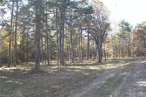 4540 Road Rd, Ozone, AR 72854 photo 4