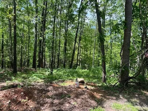 Exterior - 191 Nc 6015, Jasper, AR 72641 photo 6 of 7