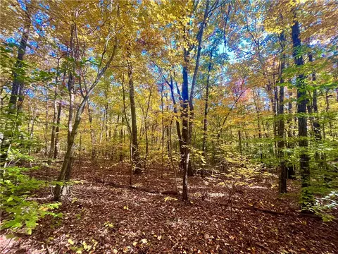 00 Nc 8801, Jasper, AR 72641 photo 14