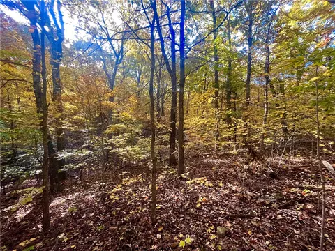 00 Nc 8801, Jasper, AR 72641 photo 6