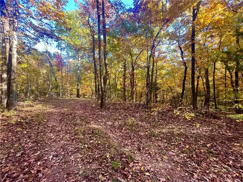 00 Nc 8801, Jasper, AR 72641 photo 10