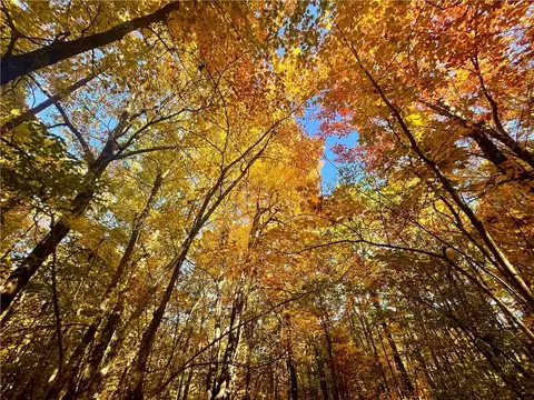 00 Nc 8801, Jasper, AR 72641 photo 16