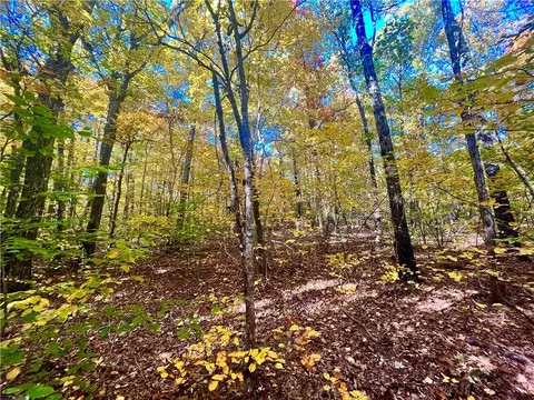 00 Nc 8801, Jasper, AR 72641 photo 17