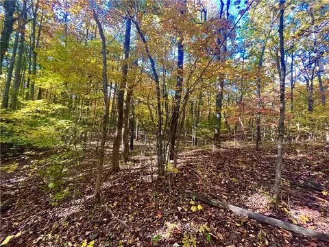 00 Nc 8801, Jasper, AR 72641 photo 19