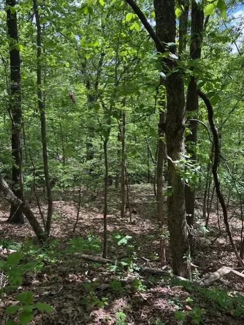 Bude Lane, Bella Vista, AR 72714