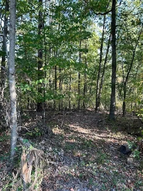 lot16 Block 2 Judy Dr, Bella Vista, AR 72715