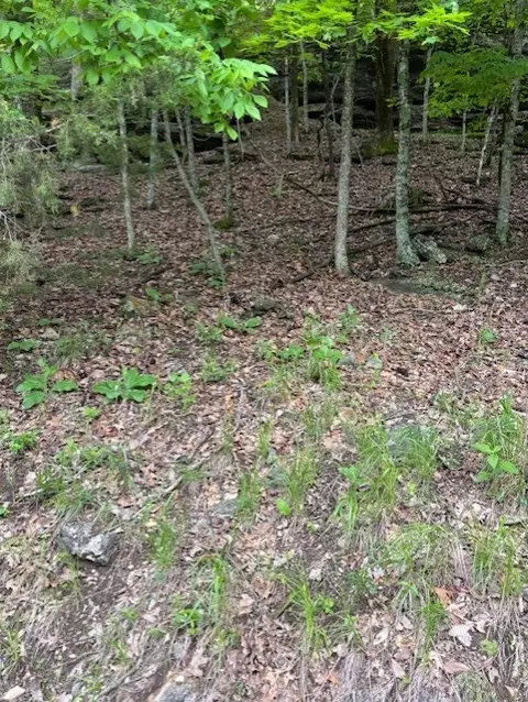 Dogwood Drive, Garfield, AR 72732