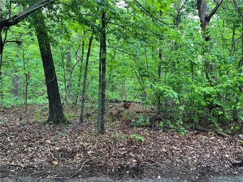 Orkney Drive, Bella Vista, AR 72715