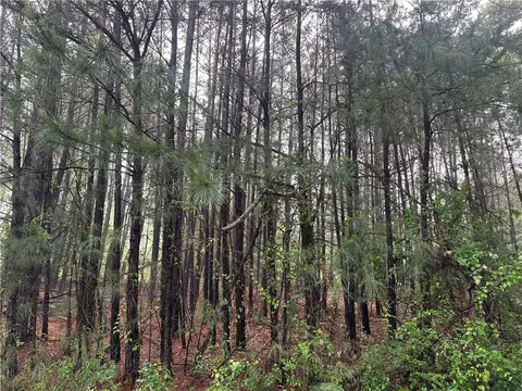 Redmond Road, Pottsville, AR 72858