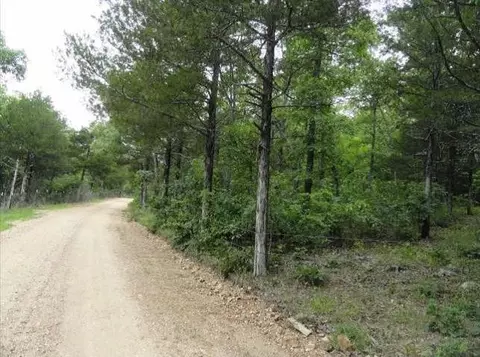 Ricks, Bergman, AR 72615 photo 2