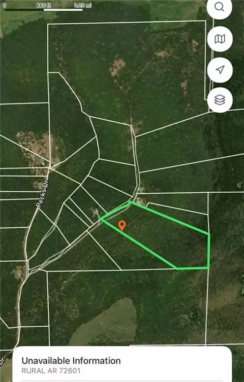 Ricks, Bergman, AR 72615