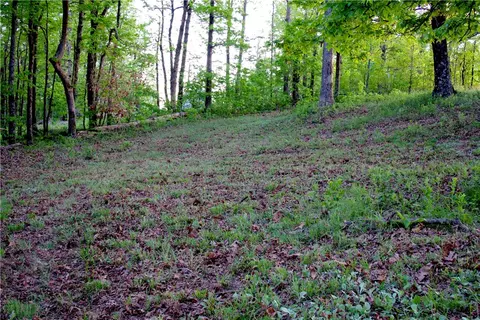 Hc 70 Box 477a, Jasper, AR 72641 photo 28