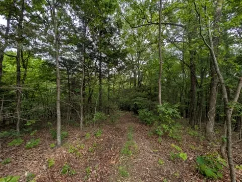 Sutton Place, Harrison, AR 72601
