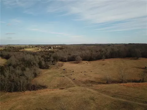 Mc 4023, Everton, AR 72633 photo 40