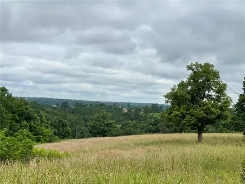 16 7 Ac Turkey Ridge Ct, Pineville, MO 64854
