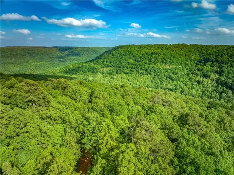 213 Scenic, Witts Springs, AR 72686