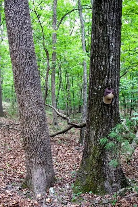 tbd Madison 5310, Witter, AR 72776 photo 38