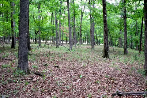 tbd Madison 5310, Witter, AR 72776 photo 31