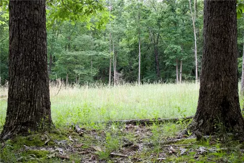 tbd Madison 5310, Witter, AR 72776 photo 35